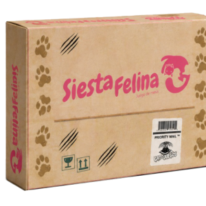 siesta
